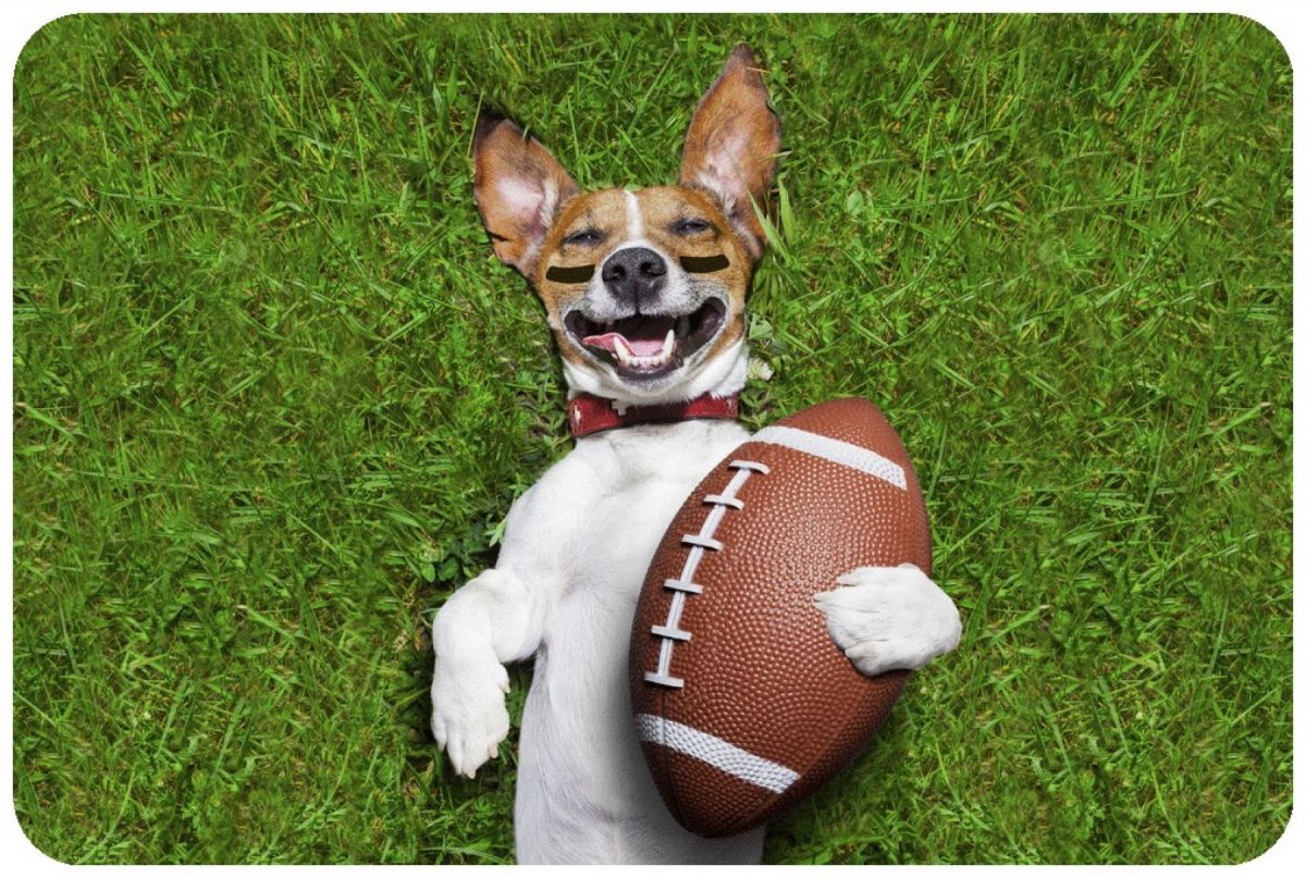 Sporting Events